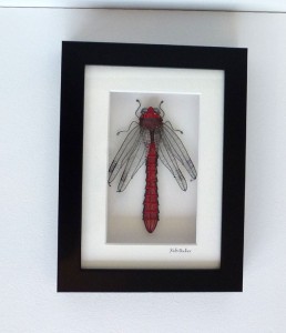 kate Packer dragonfly