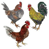 Debby Mason - Three Chicken Greeting Card