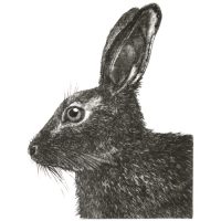 Debby Mason - Hare Greeting Card