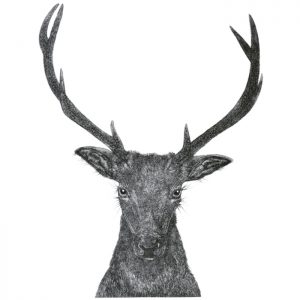 Debby Mason - Red Deer Stag Greeting Card