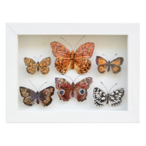 Jane Price - Framed Handmade Silk Butterflies