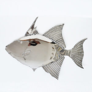 Mike Tucker - Stainless Steel Triggerfish