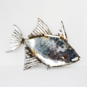 Mike Tucker - Stainless Steel Triggerfish