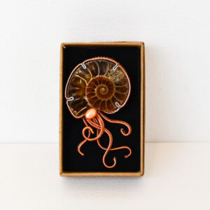 Kate Packer - Wire Argonaut Brooch