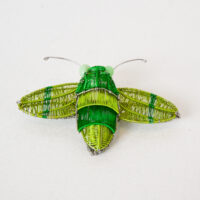 Kate Packer - Wire Moth Brooch