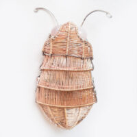 Kate Packer - Wire Beetle Brooch