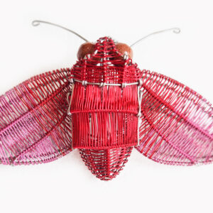 Kate Packer - Wire Moth Brooch