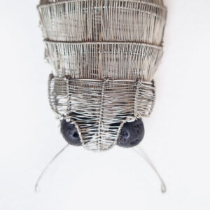 Kate Packer - Wire Beetle Brooch - Image 2